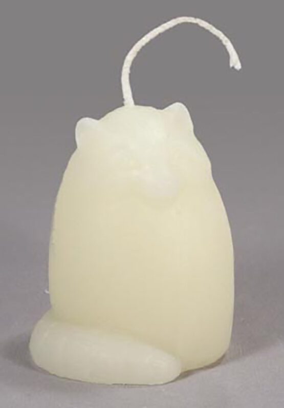 A Small Pine Cone - White beeswax candle with a raccoon on it.