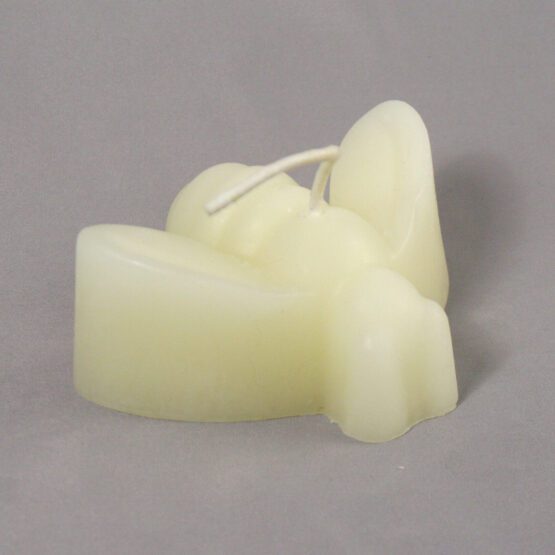 Honey Bee candle white beeswax