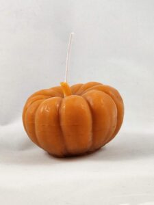 orange pumpkin